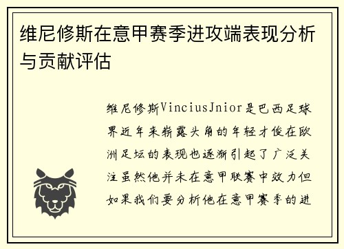 维尼修斯在意甲赛季进攻端表现分析与贡献评估