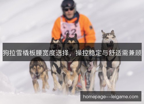 狗拉雪橇板腰宽度选择，操控稳定与舒适需兼顾